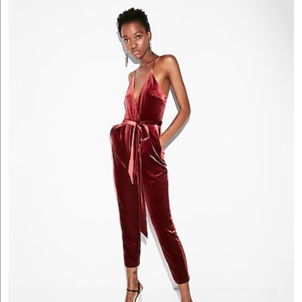 Express Rose Velvet Velour Jumpsuit - sold out